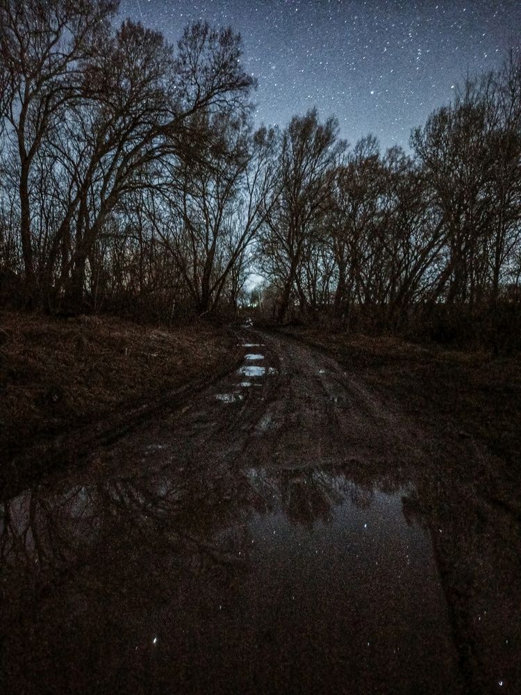 Photo 29936185