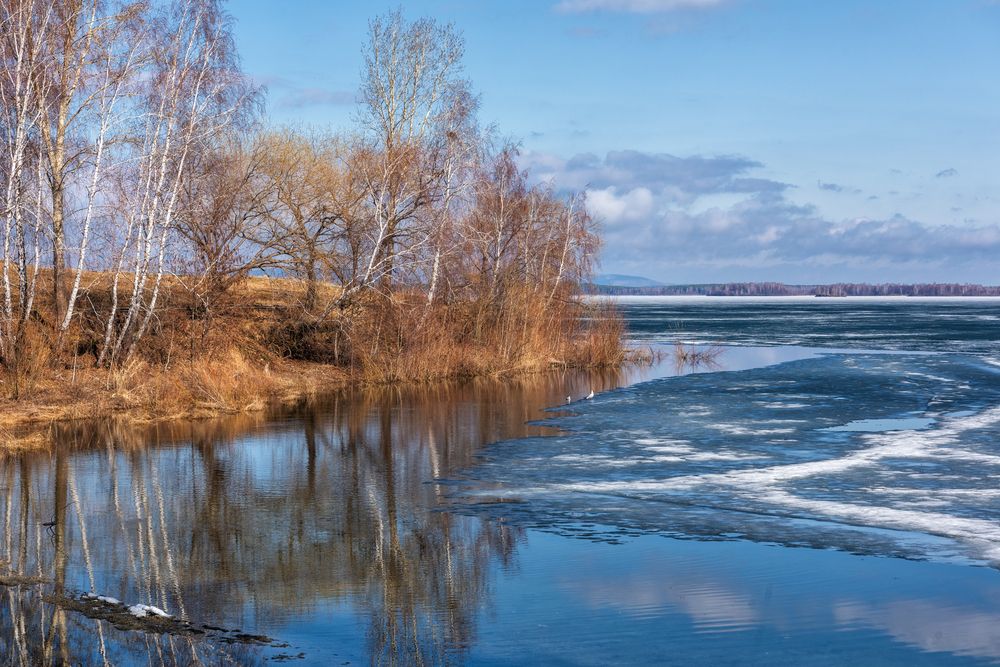 Как небо весной в озере купалось