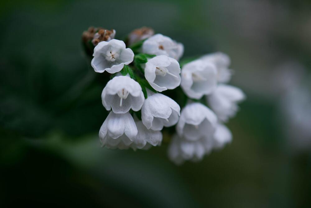 Photo 29936569
