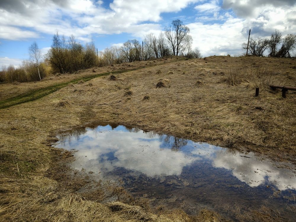 Photo 29936631