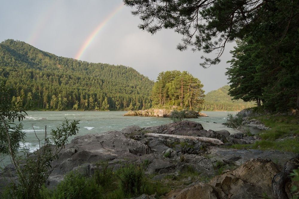 Photo 29936752
