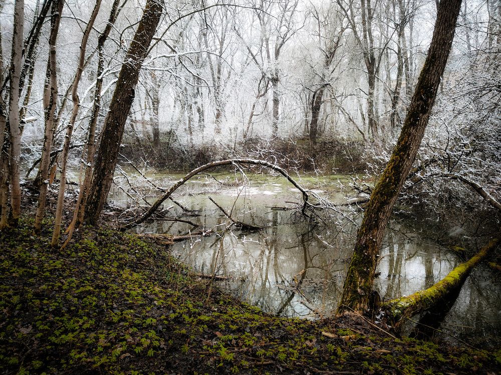 Photo 29937292