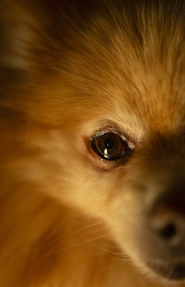 Photo 29937365