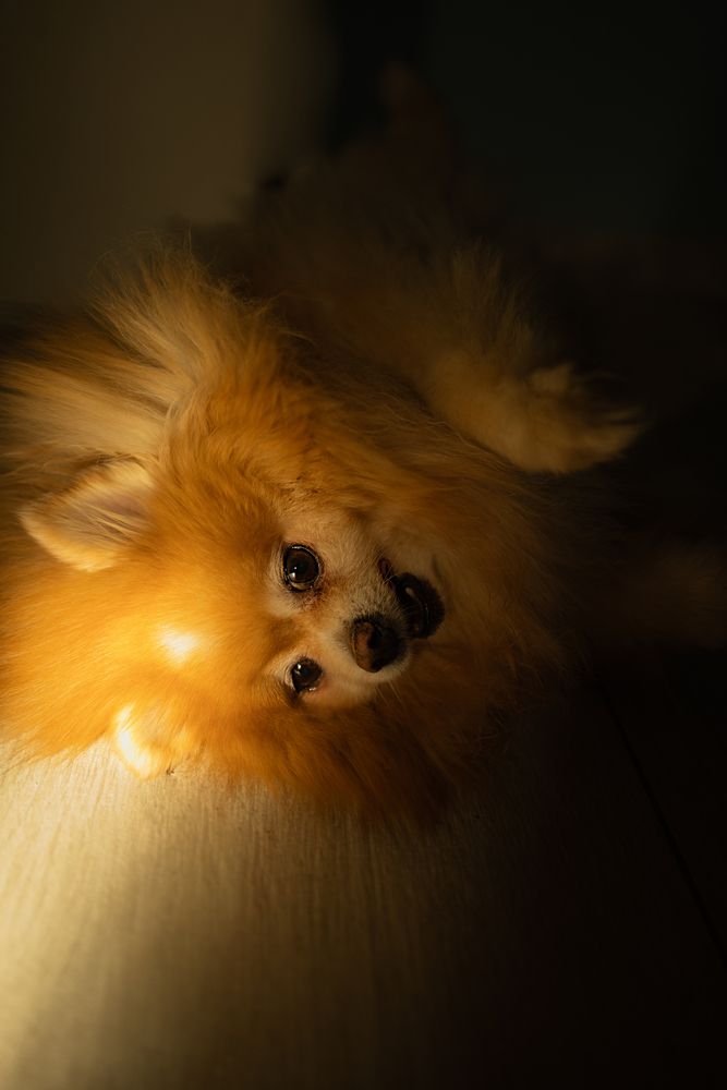 Photo 29937367