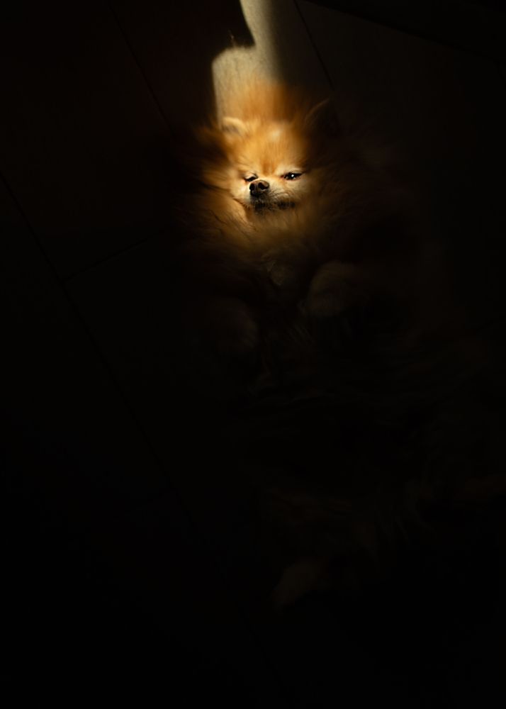 Photo 29937369