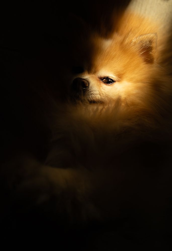 Photo 29937370