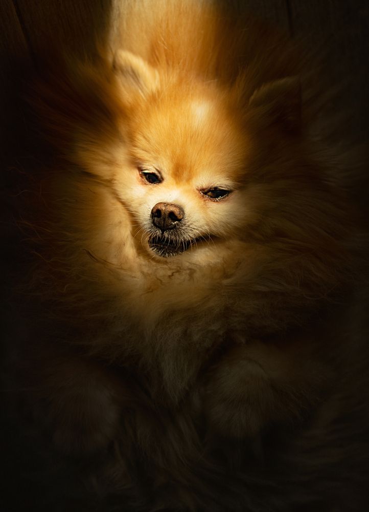 Photo 29937371