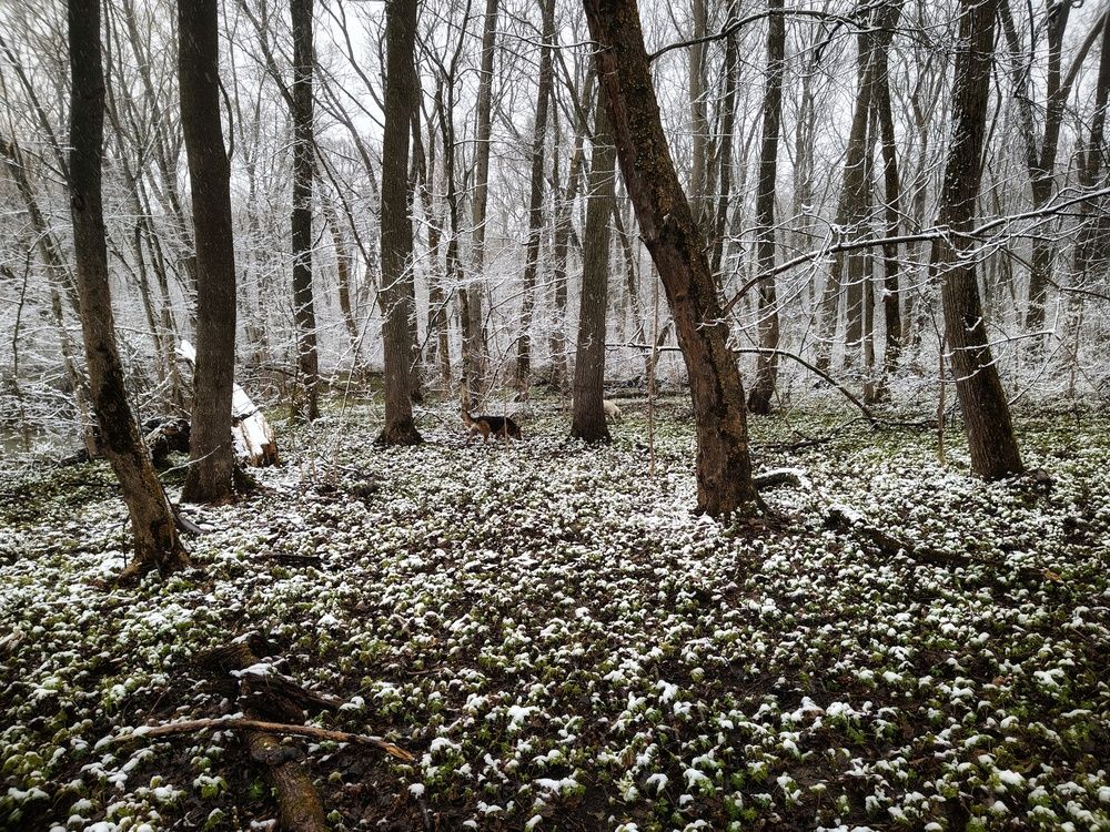 Photo 29937456