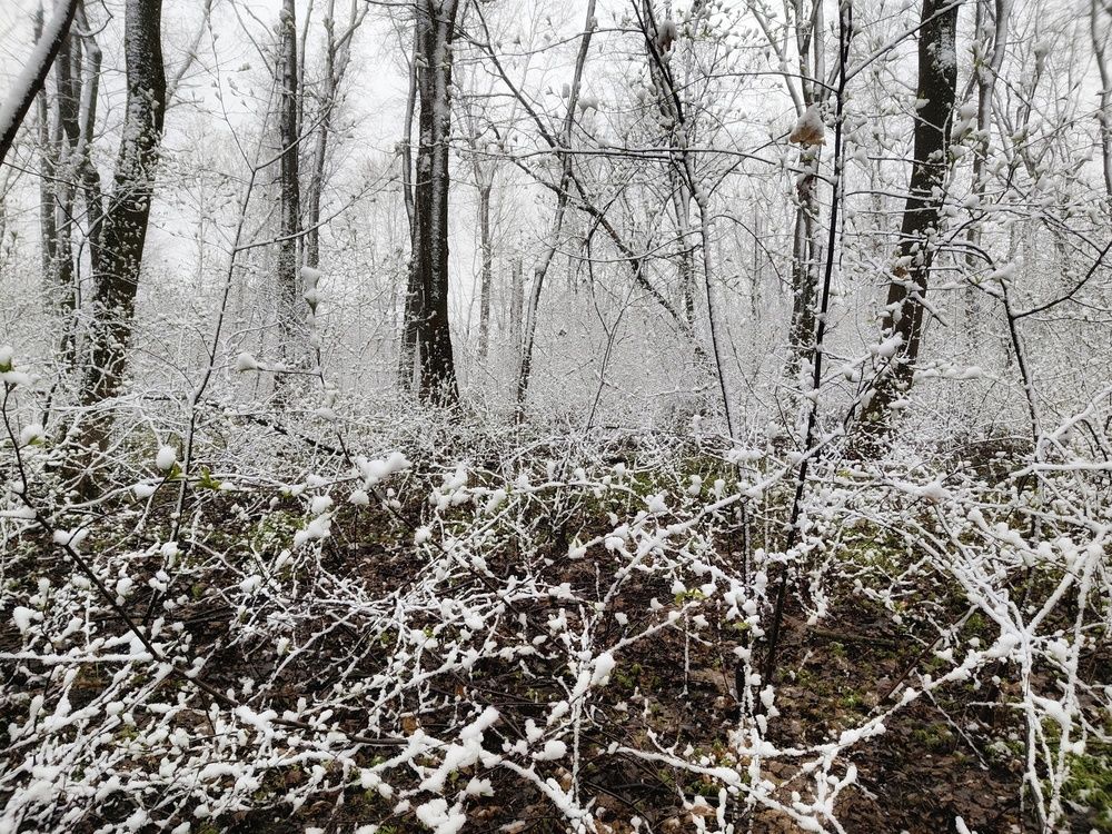 Photo 29937460