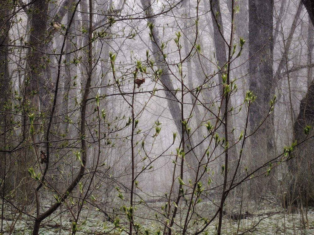 Photo 29937461