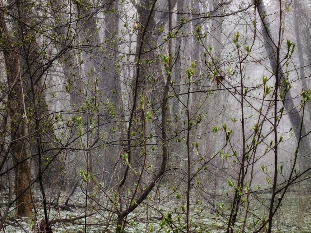 Photo 29937462
