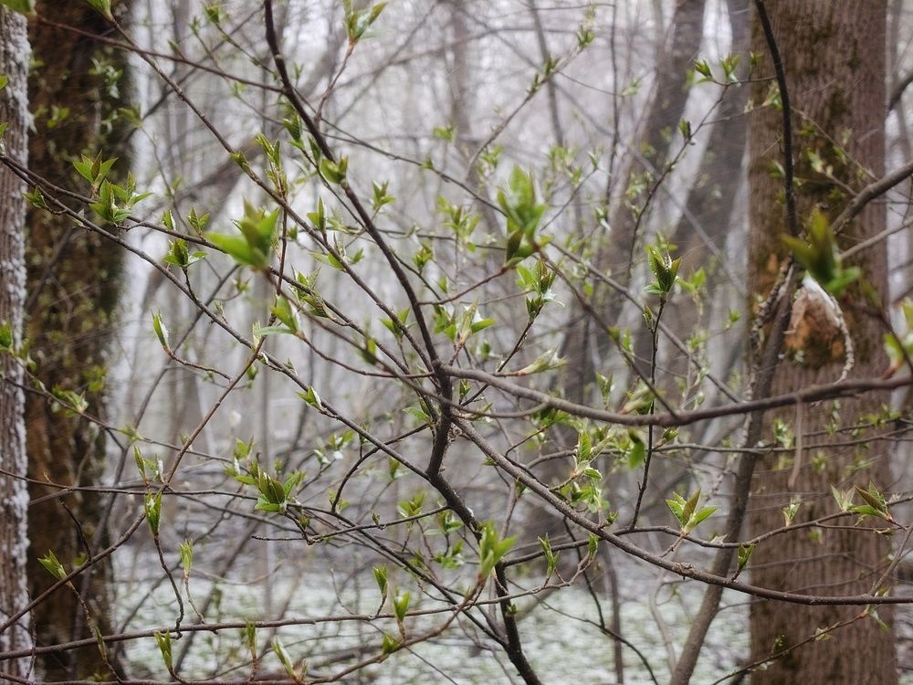 Photo 29937464
