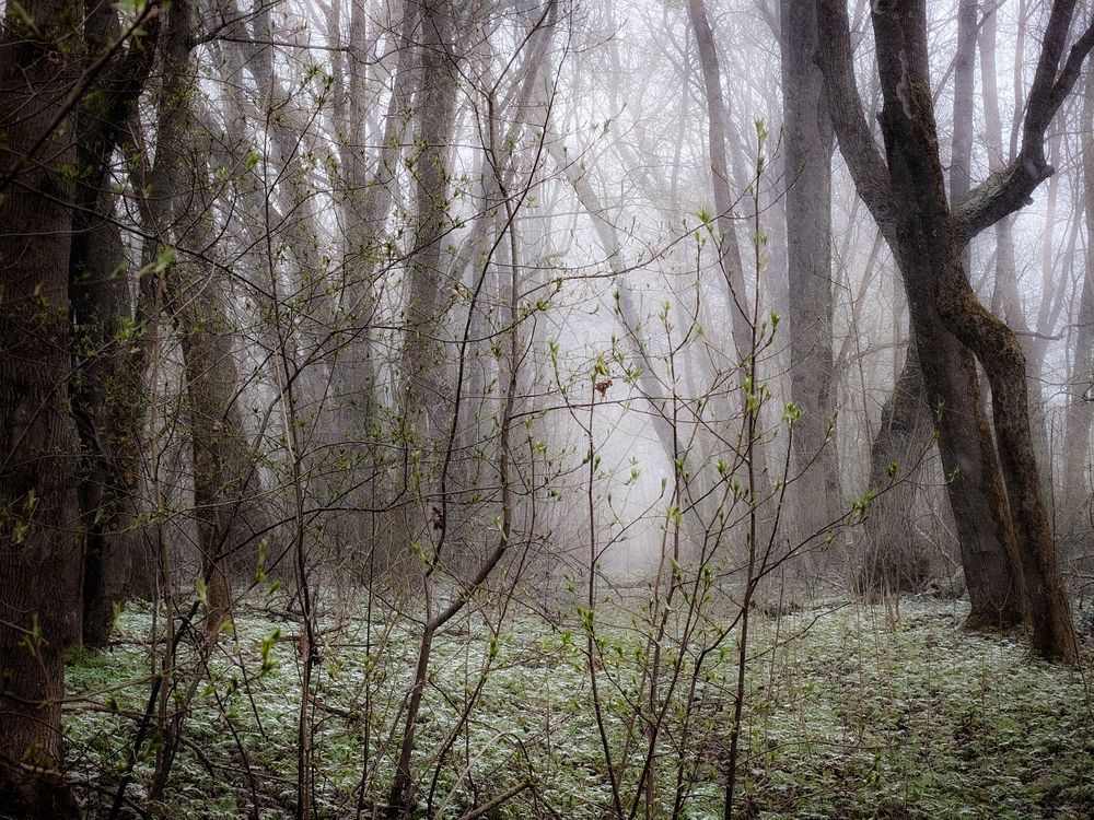 Photo 29937465