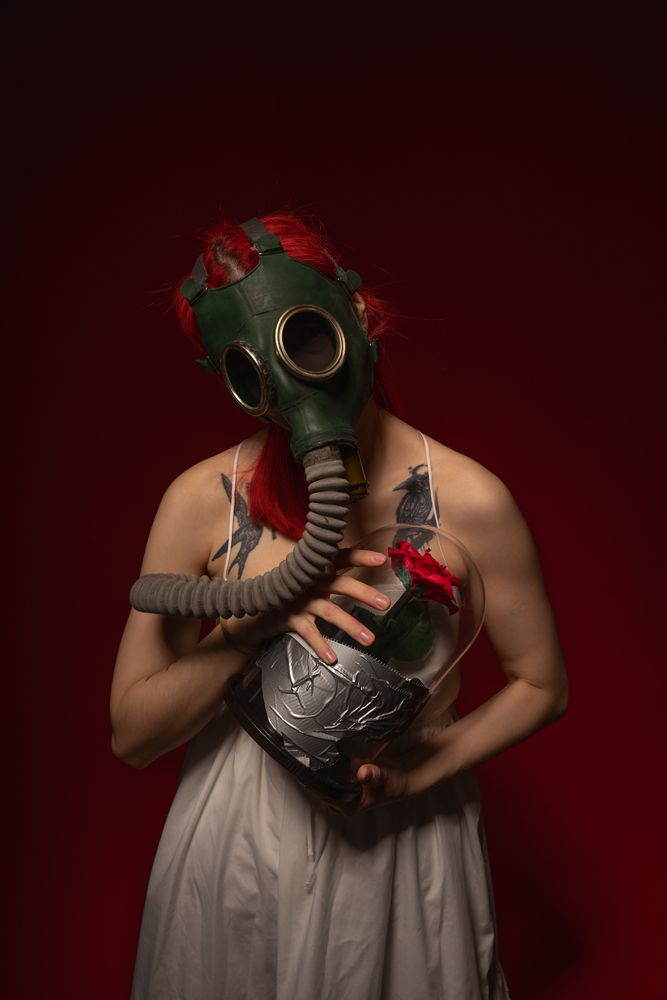 The last rose