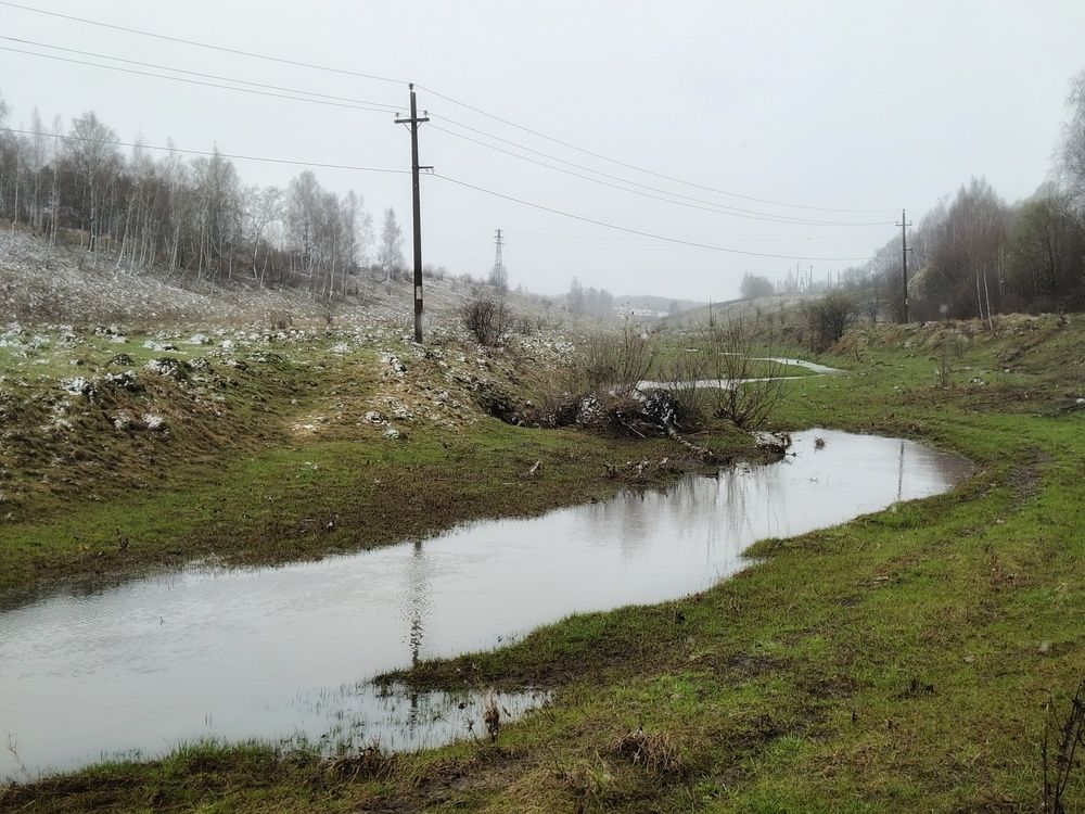 Photo 29937718
