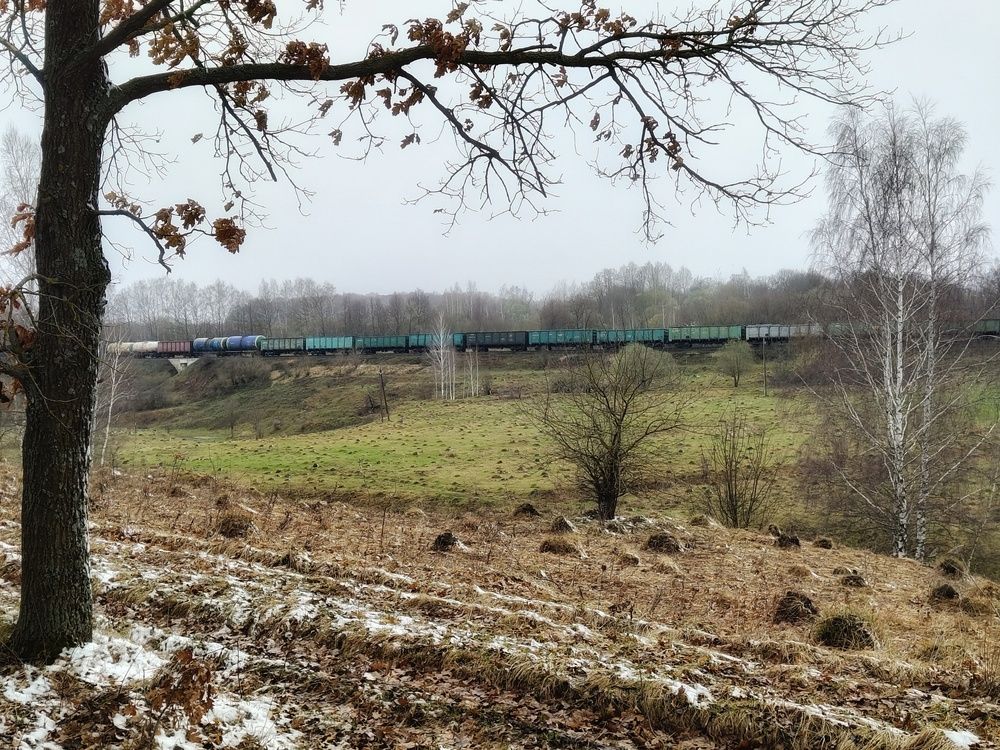 Photo 29937719