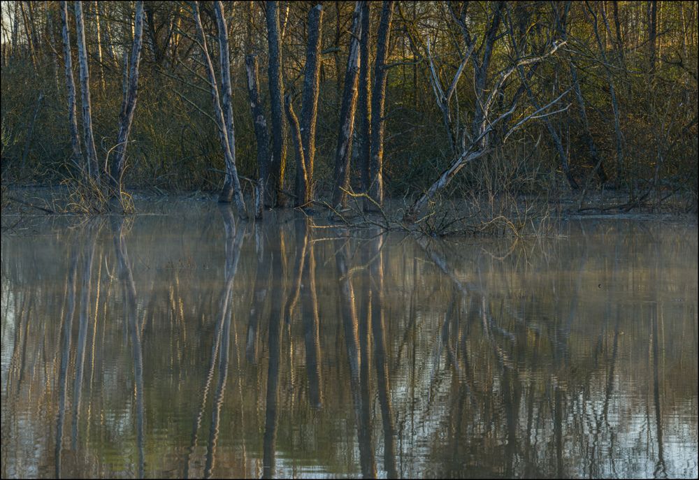 Седая вода весеннего утра
