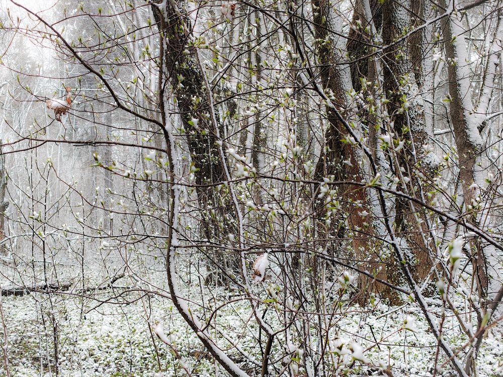 Photo 29937769