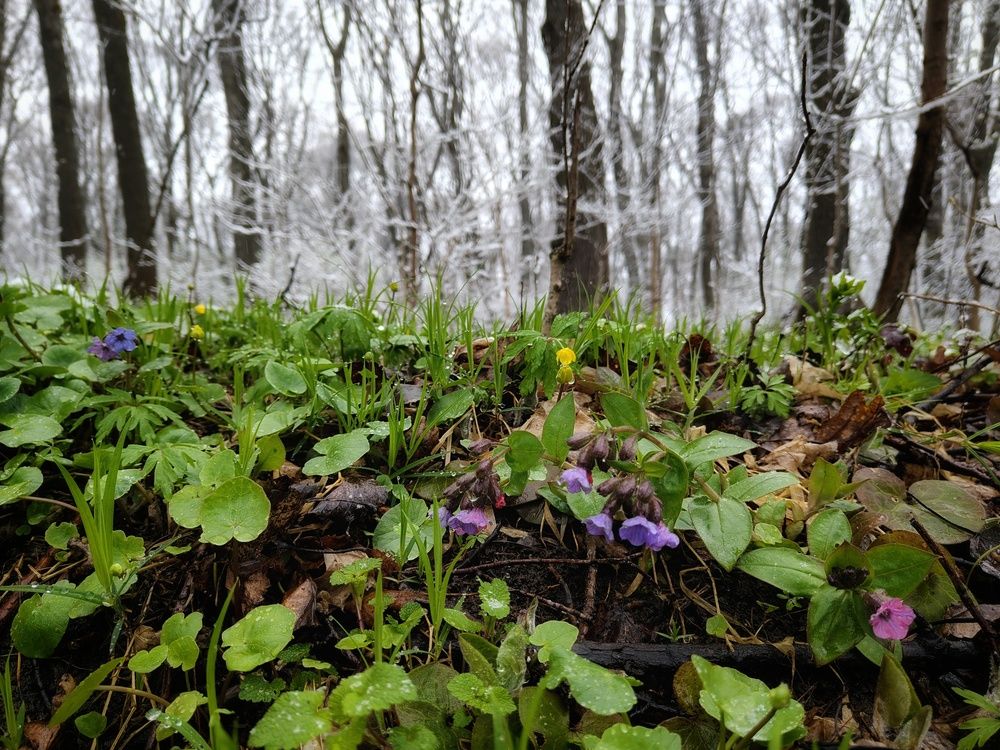 Photo 29937775