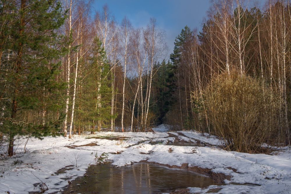 Снова весна