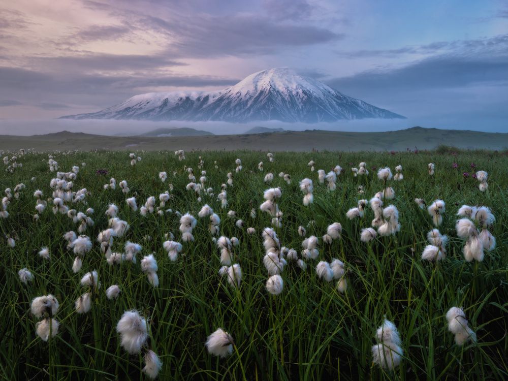 Летняя Камчатка.