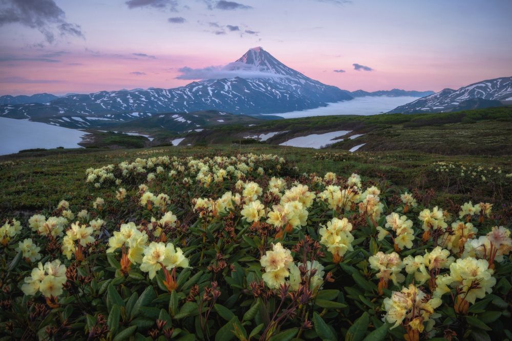 Летняя Камчатка.