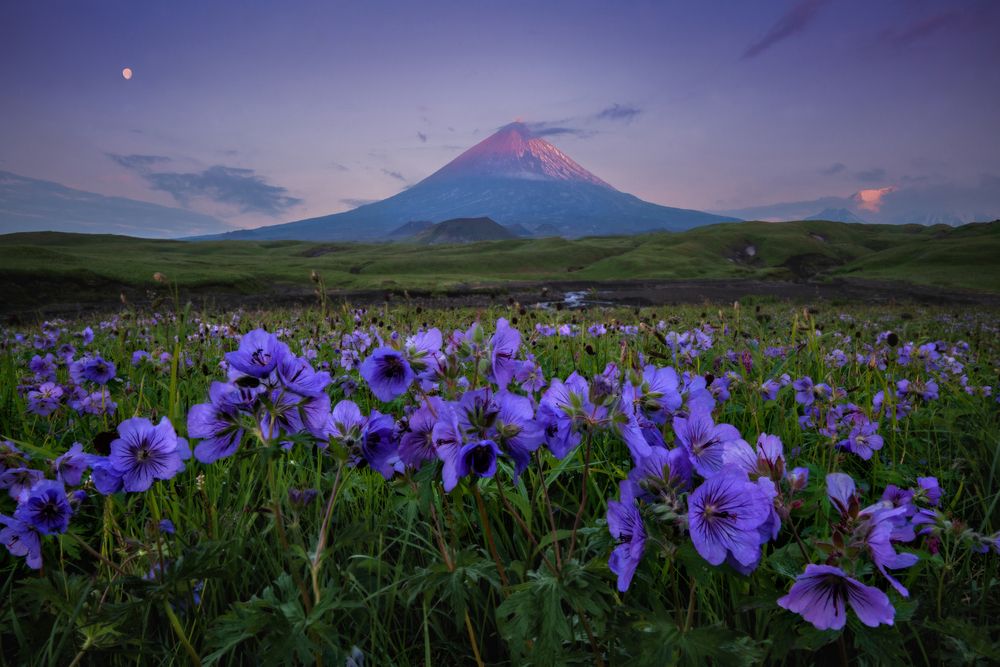 Летняя Камчатка.