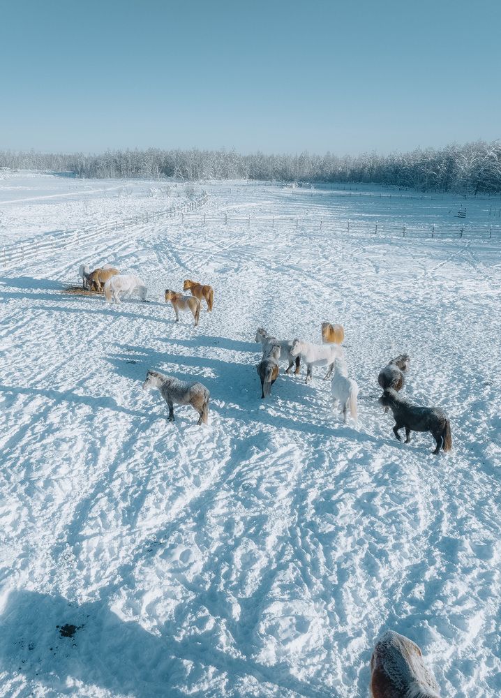 Между небом и землей