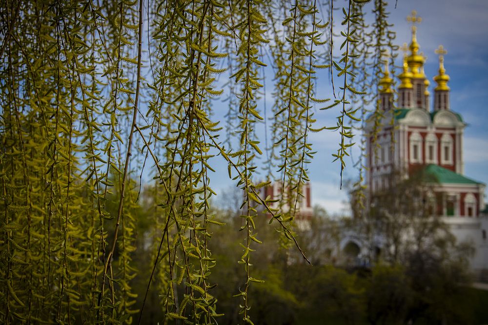 Немного солнца в холодной воде