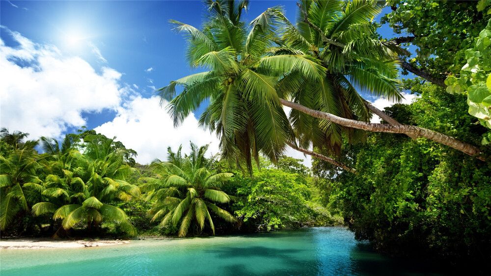 scenery