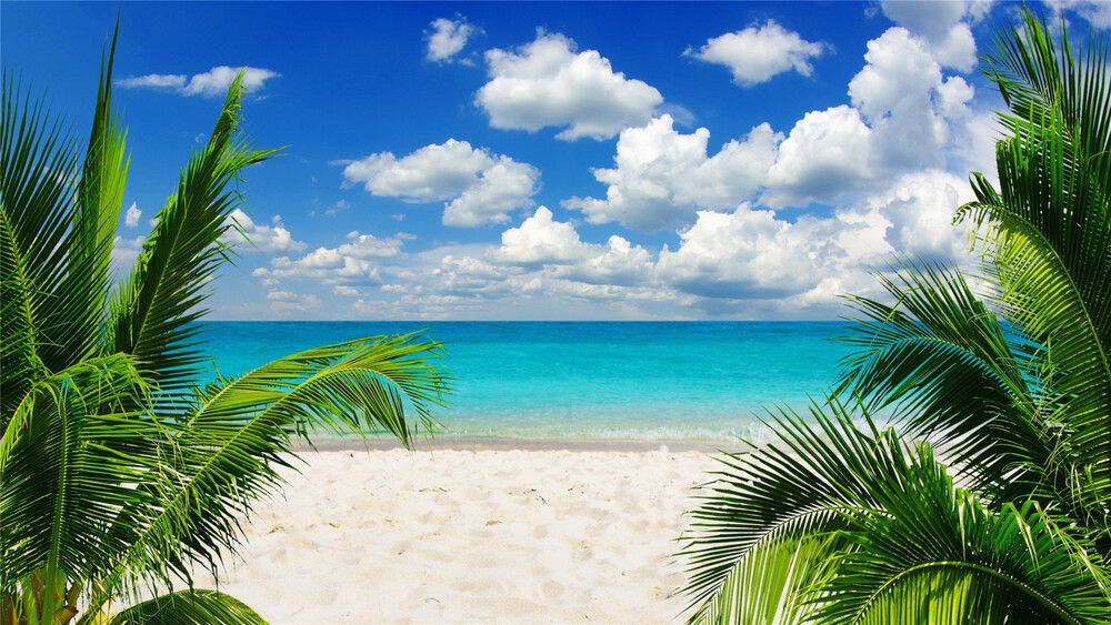 scenery