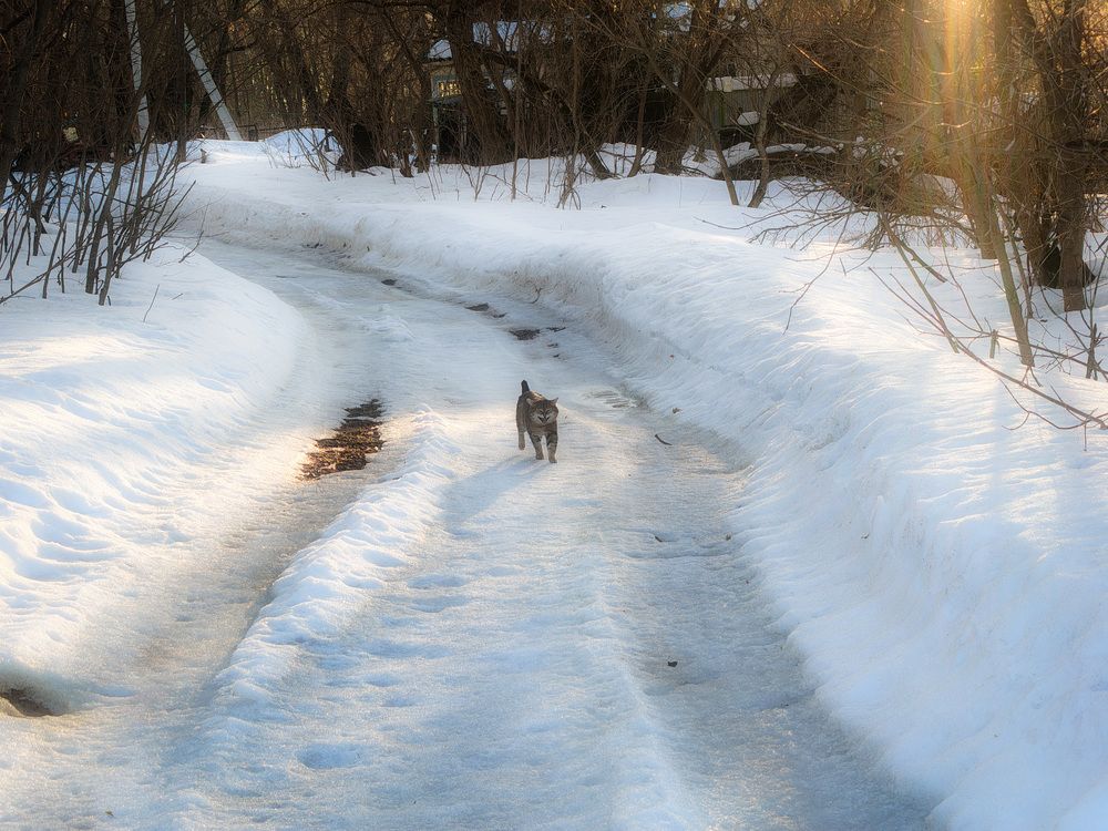Photo 29939273