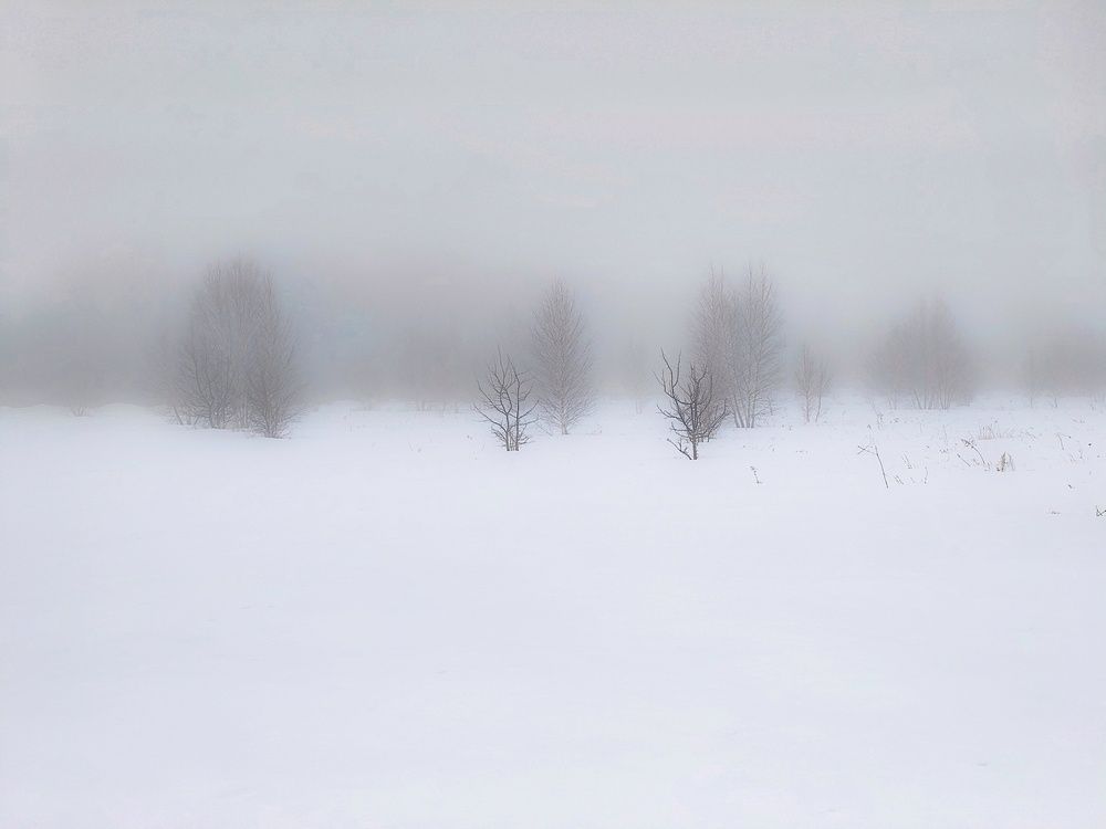 Photo 29939350