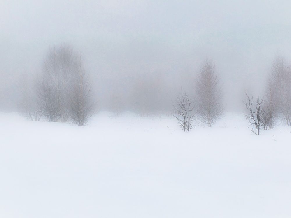 Photo 29939351