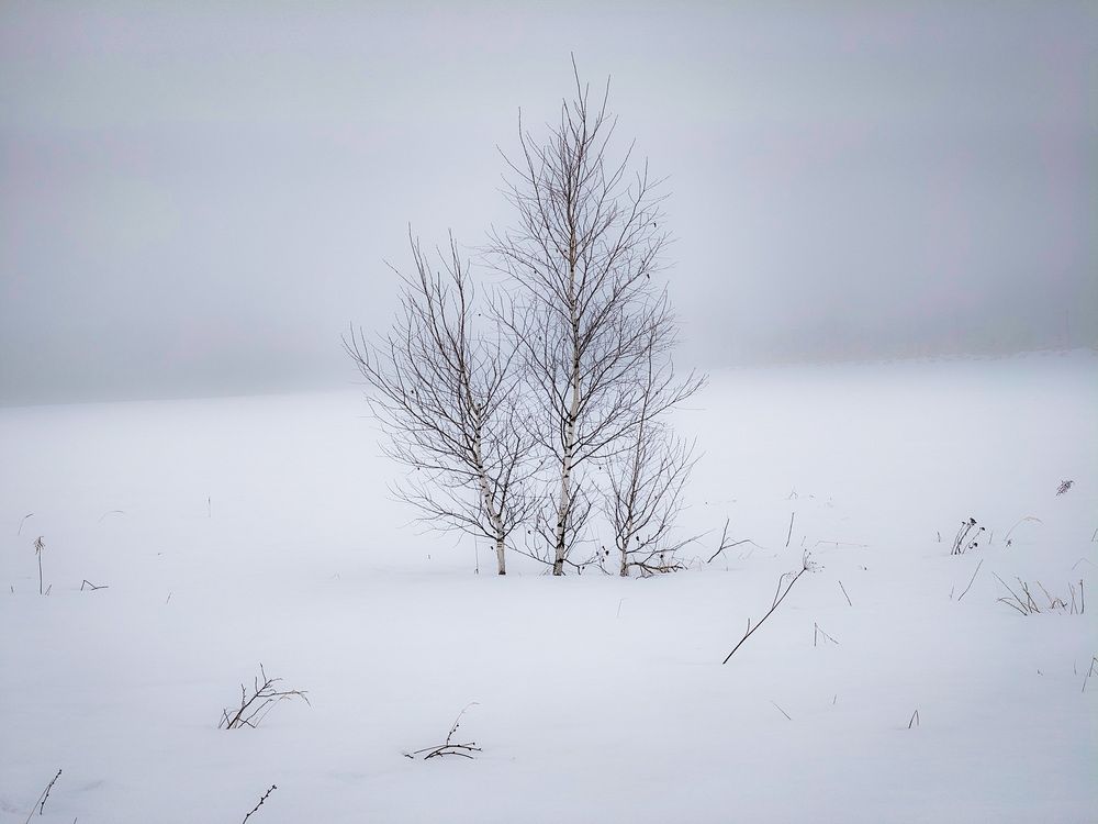 Photo 29939352