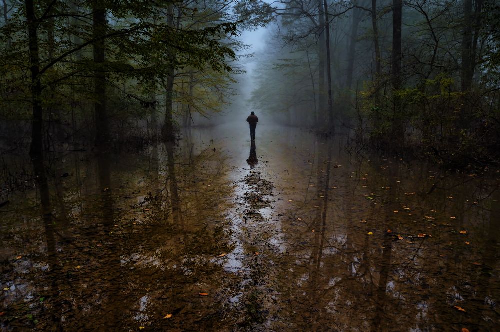 In pursuit of the fog