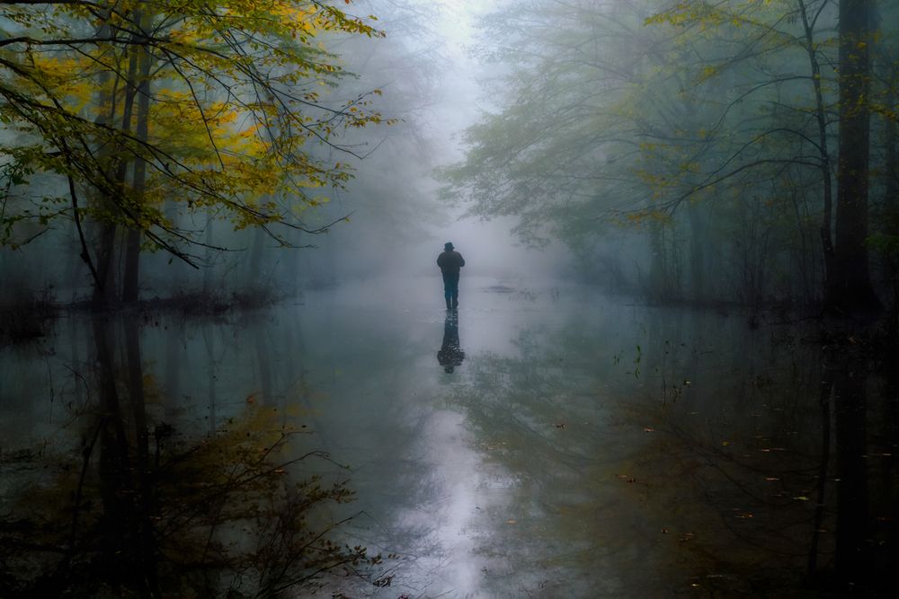 In pursuit of the fog