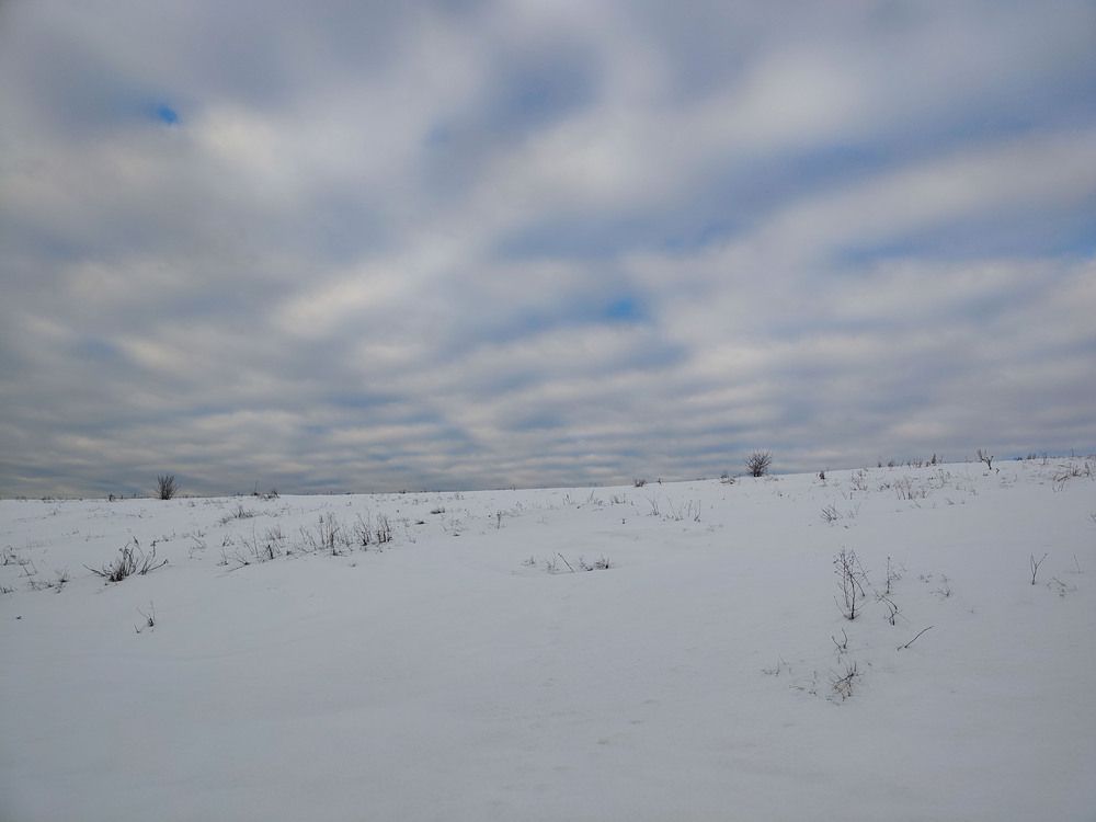 Photo 29939401
