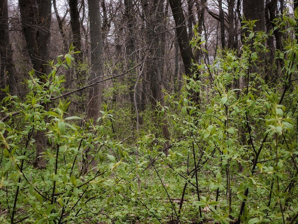 Photo 29939516