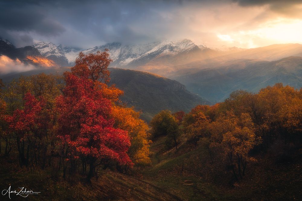 Halgurd Sakran National Park