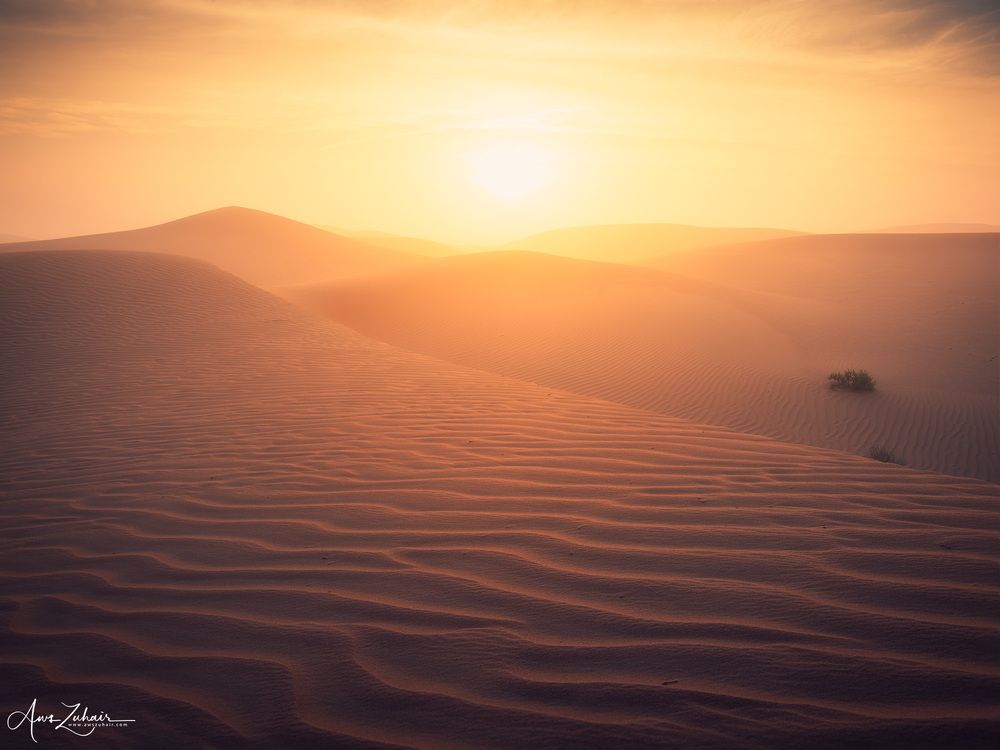 Al-Razeen Desert