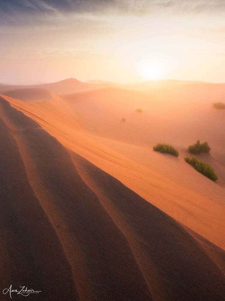 Al-Razeen Desert