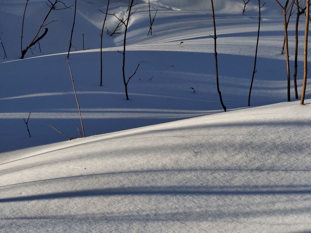 Photo 2994578