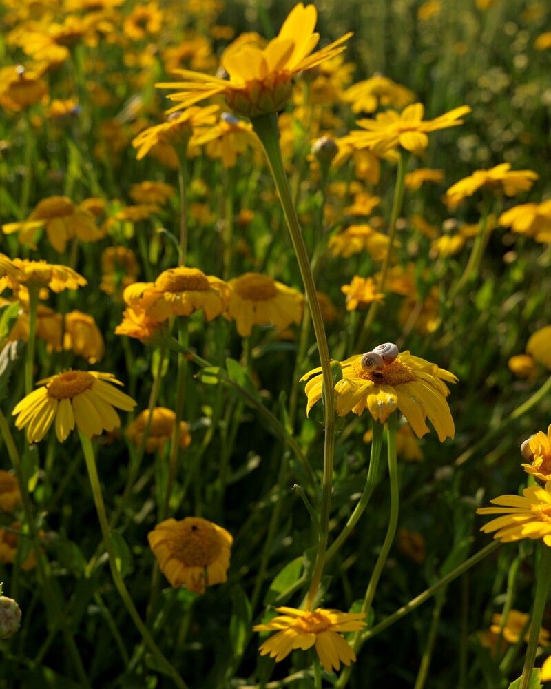 Photo 29940110