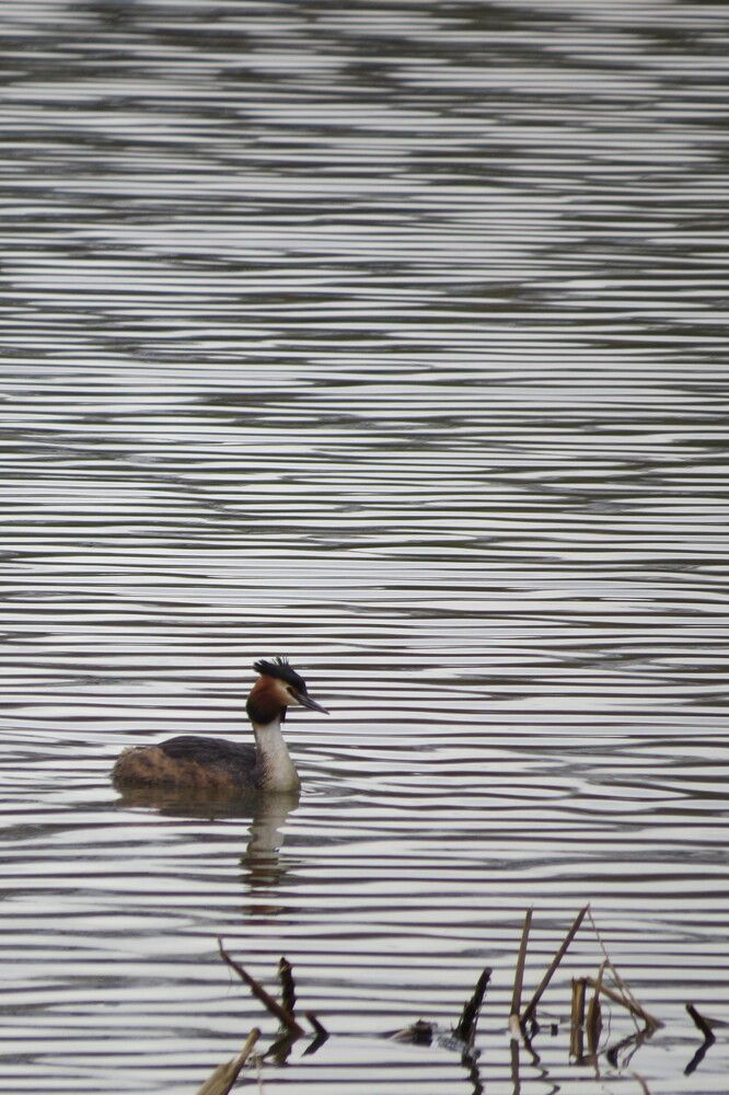 Photo 29940486