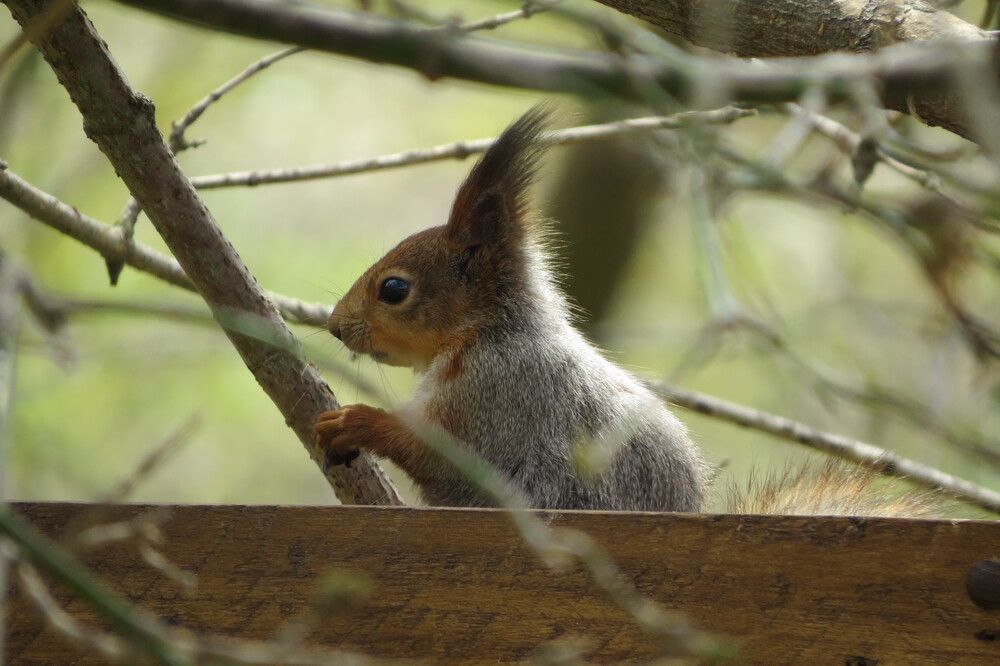 Photo 29940487