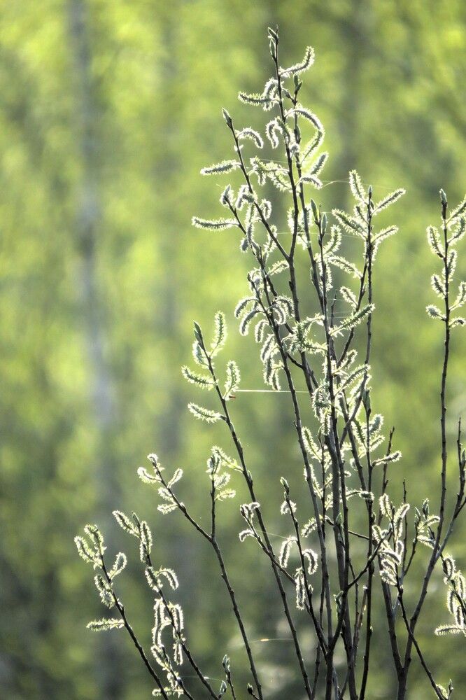 Photo 29940492