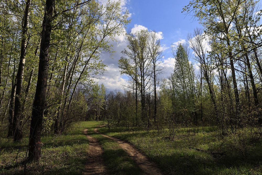 Photo 29940538