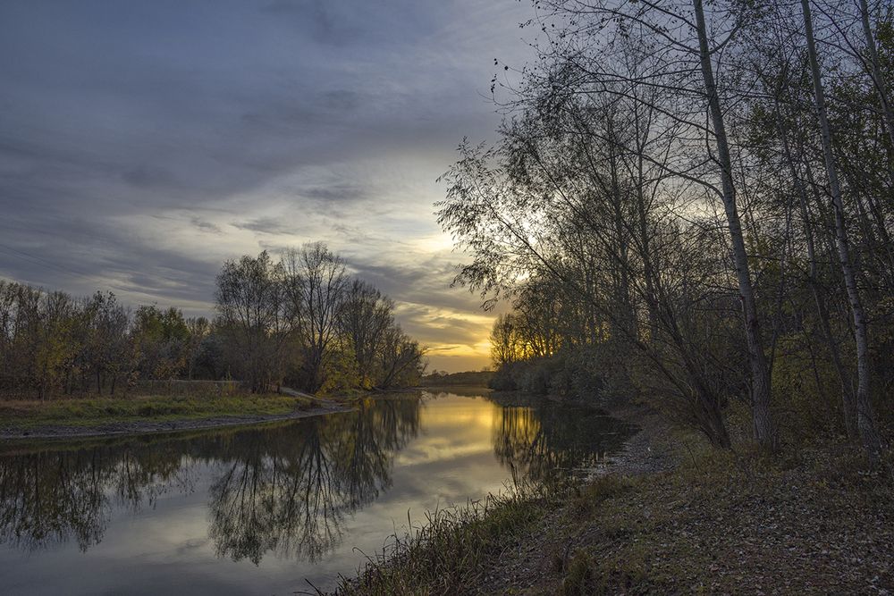 Photo 29940539