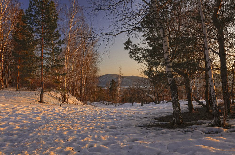 Photo 29940541